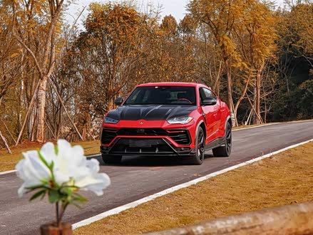 Urus 2018款 4.0T V8