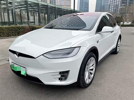 Model X 2019款 长续航版