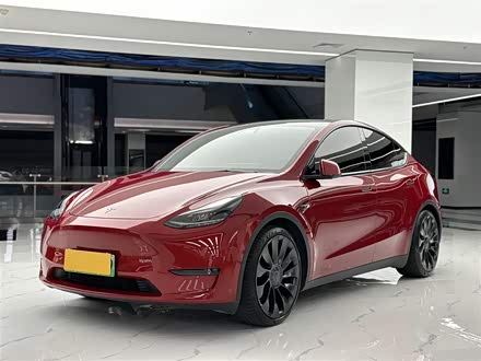 Model Y 2022款 Performance高性能全轮驱动版