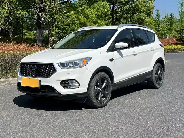 FORD WINGED TIGER 2019