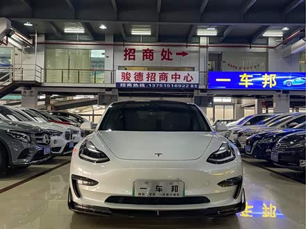 Model 3进口 2019款 Performance高性能全轮驱动版