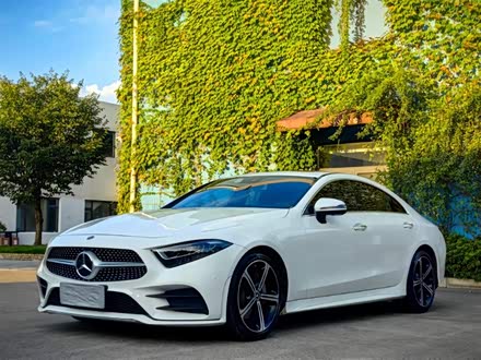奔驰CLS 2020款 CLS 300 动感型