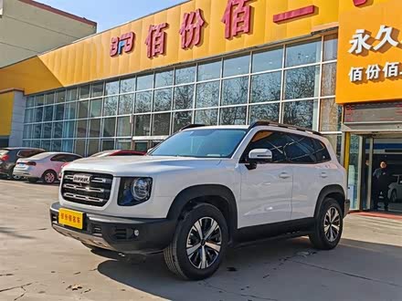 哈弗大狗 2021款 1.5T DCT两驱拉布拉多版