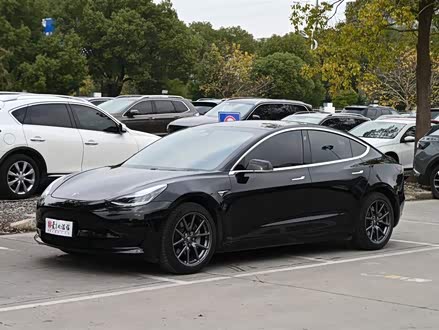 Model 3 2020款 标准续航后驱升级版