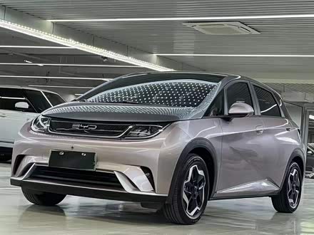 海豚 2021款 405km 时尚版