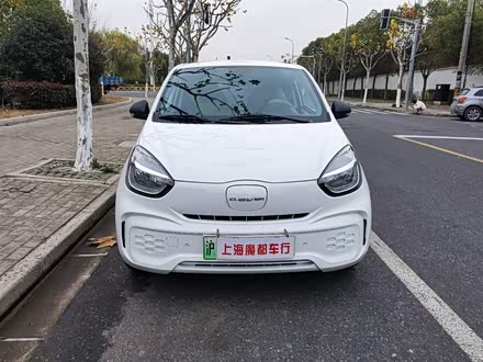 科莱威CLEVER 2021款 302km全能版