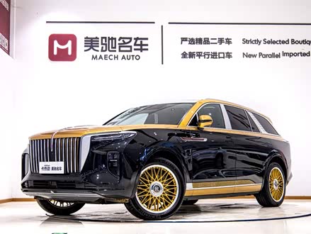 红旗E-HS9 2021款 460km 旗享版 六座