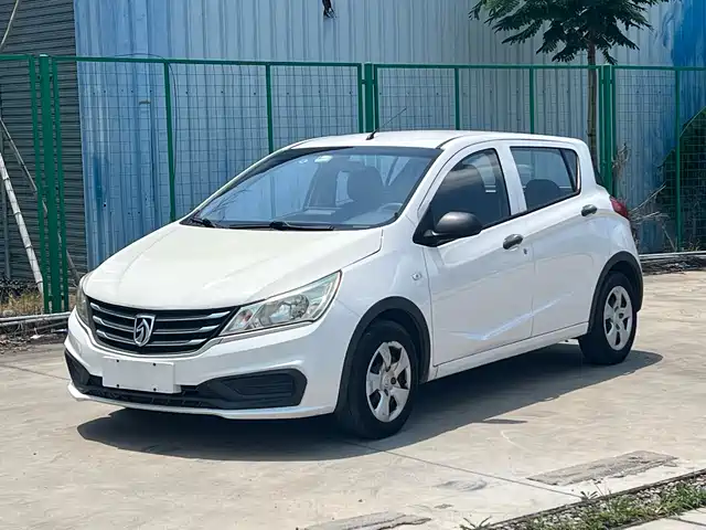 BAOJUN  310 2020