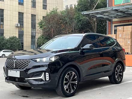 魏牌 VV6 2021款 2.0T 两驱智享+