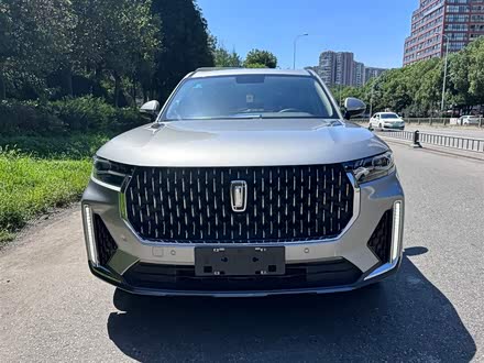 奔腾T99 2020款 20TD 自动尊享型