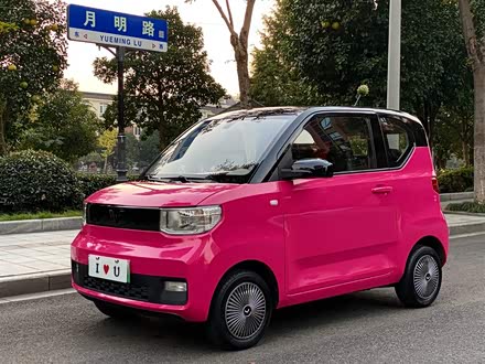宏光MINIEV 2020款 悦享款 磷酸铁锂