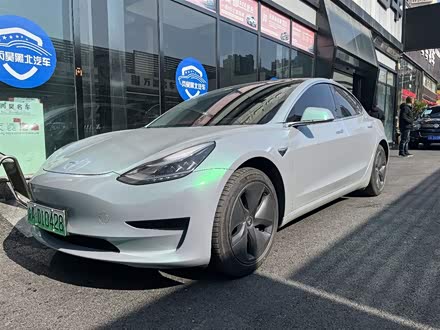 Model 3进口 2019款 标准续航后驱升级版
