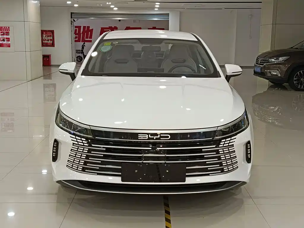 BYD DESTROYER 05