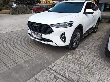 哈弗F7x 2019款 1.5T 两驱极智潮玩版
