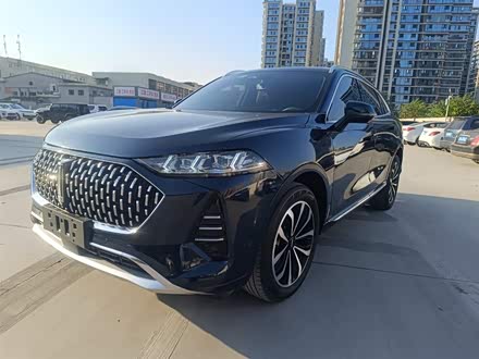 魏牌 摩卡 2021款 2.0T 两驱特香版