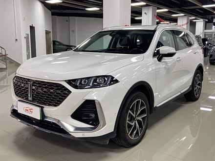 魏牌 拿铁DHT-PHEV 2022款 1.5T 两驱超大杯