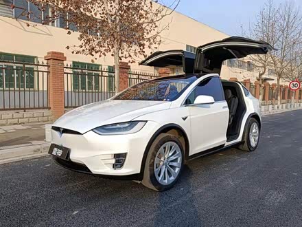 Model X 2019款 长续航版