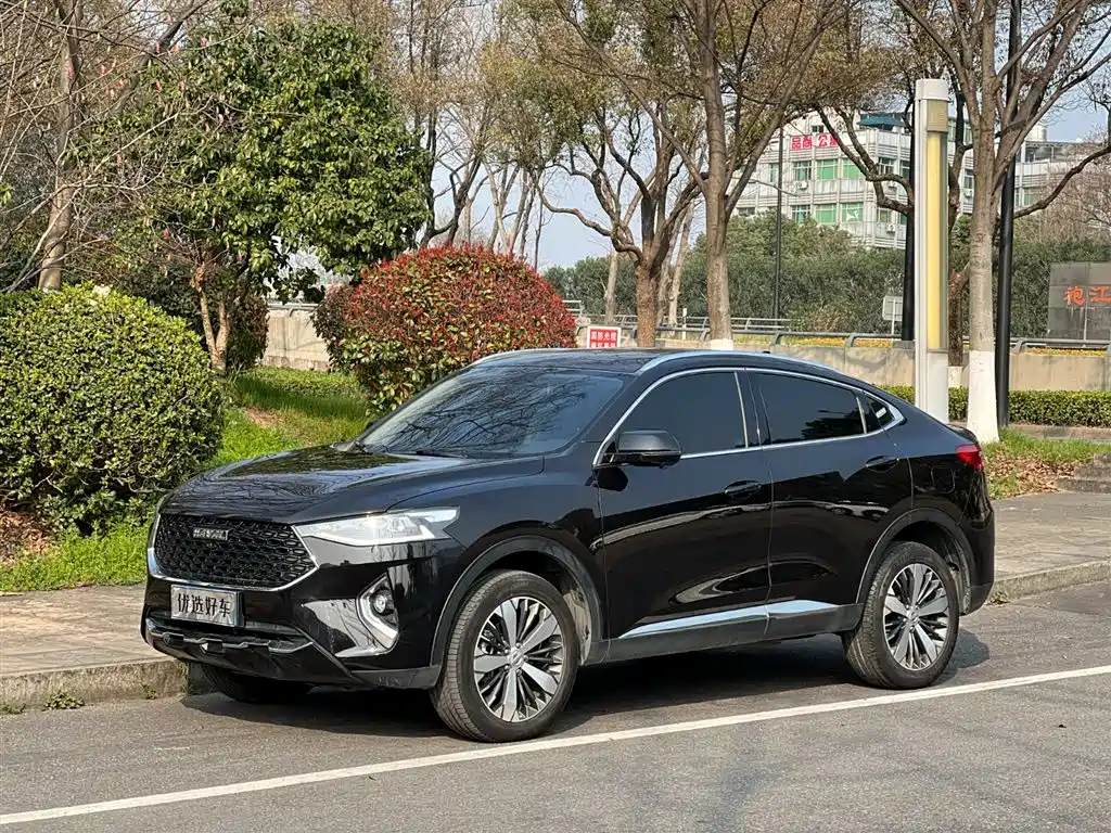 HAVAL F7X