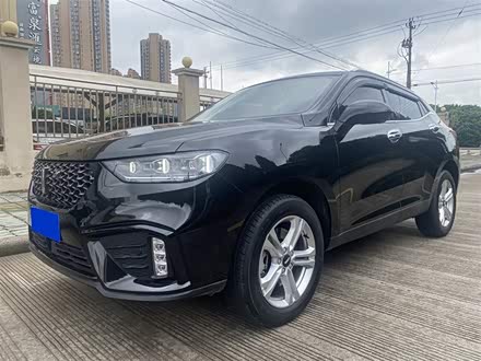 魏牌 VV5 2020款 1.5T 两驱颜先锋