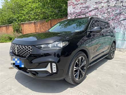 魏牌 VV6 2021款 2.0T 两驱智享+