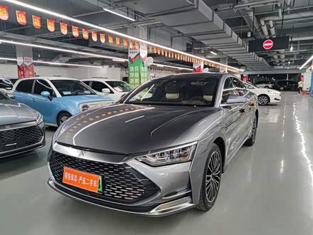 汉 2020款 DM 四驱性能版尊贵型