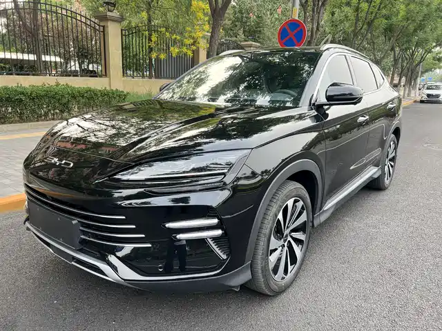 BYD SONGJIANG NEW ENERGY 2024