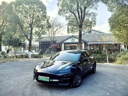 Model 3 2020款 改款 长续航后轮驱动版
