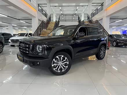 哈弗大狗 2021款 1.5T DCT两驱边牧版