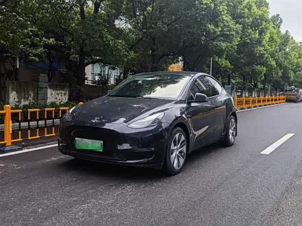 Model Y 2021款 标准续航后驱版