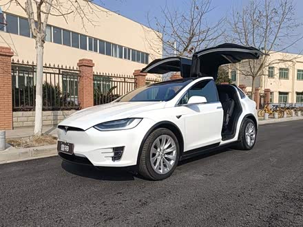 Model X 2018款 100D