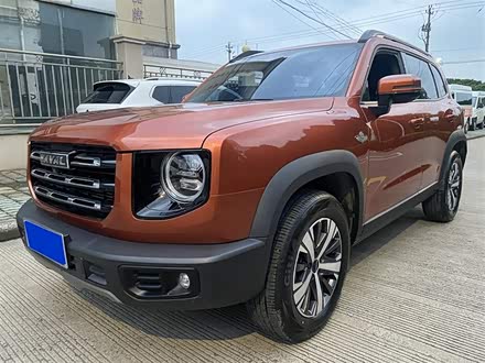 哈弗大狗 2021款 1.5T DCT两驱拉布拉多版