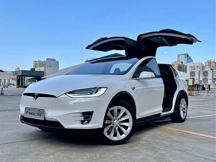 Model X 2017款 Model X 100D 长续航版