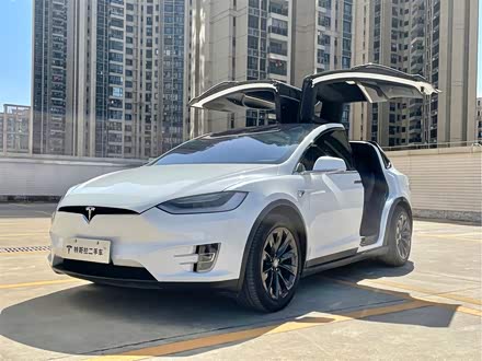 Model X 2020款 长续航升级版