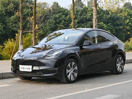 Model Y 2021款 长续航全轮驱动版 3D7