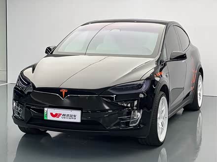 Model X 2019款 Performance 高性能版
