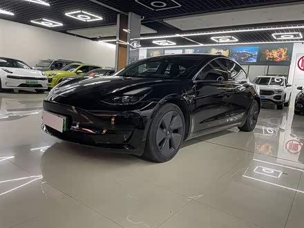 Model 3 2021款 标准续航后驱升级版