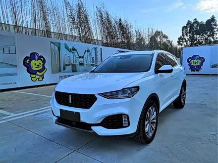 魏牌 VV6 2019款 2.0T 两驱旗舰型 国VI