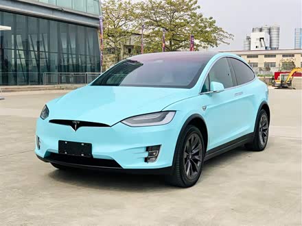 Model X 2016款 Model X P100D Performance高性能版