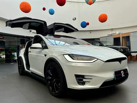 Model X 2019款 Performance 高性能版