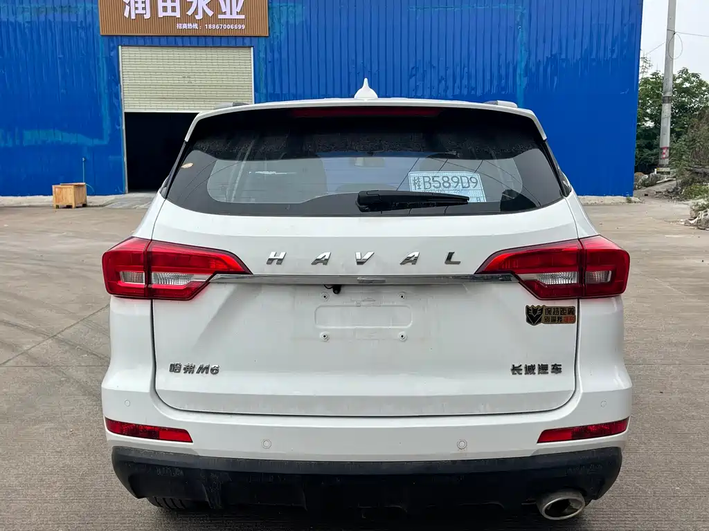 HAVAL M6