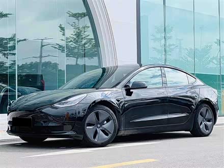 Model 3 2019款 标准续航后驱升级版