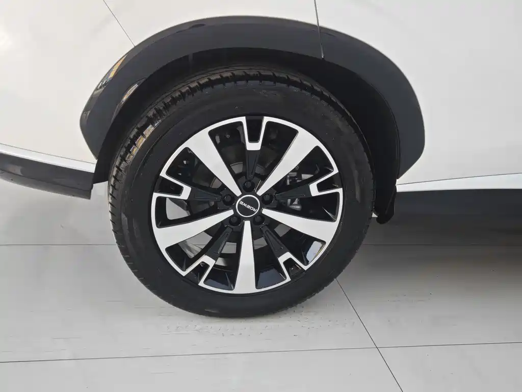 ROEWE D5X DMH