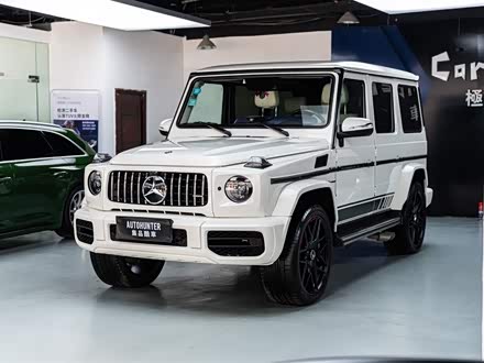 奔驰G级 2013款 G 500