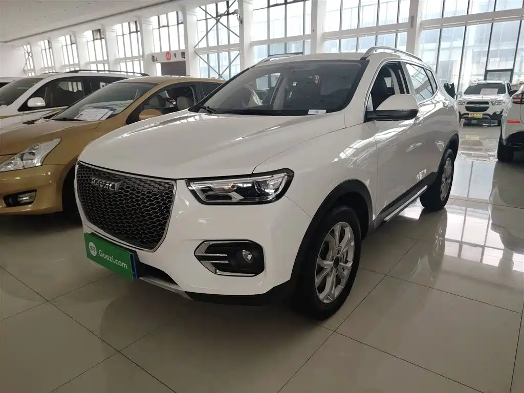 HAVAL  H2S