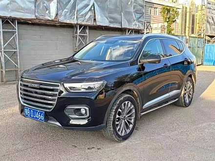 哈弗H6 2020款 2.0GDIT 自动铂金冠军版