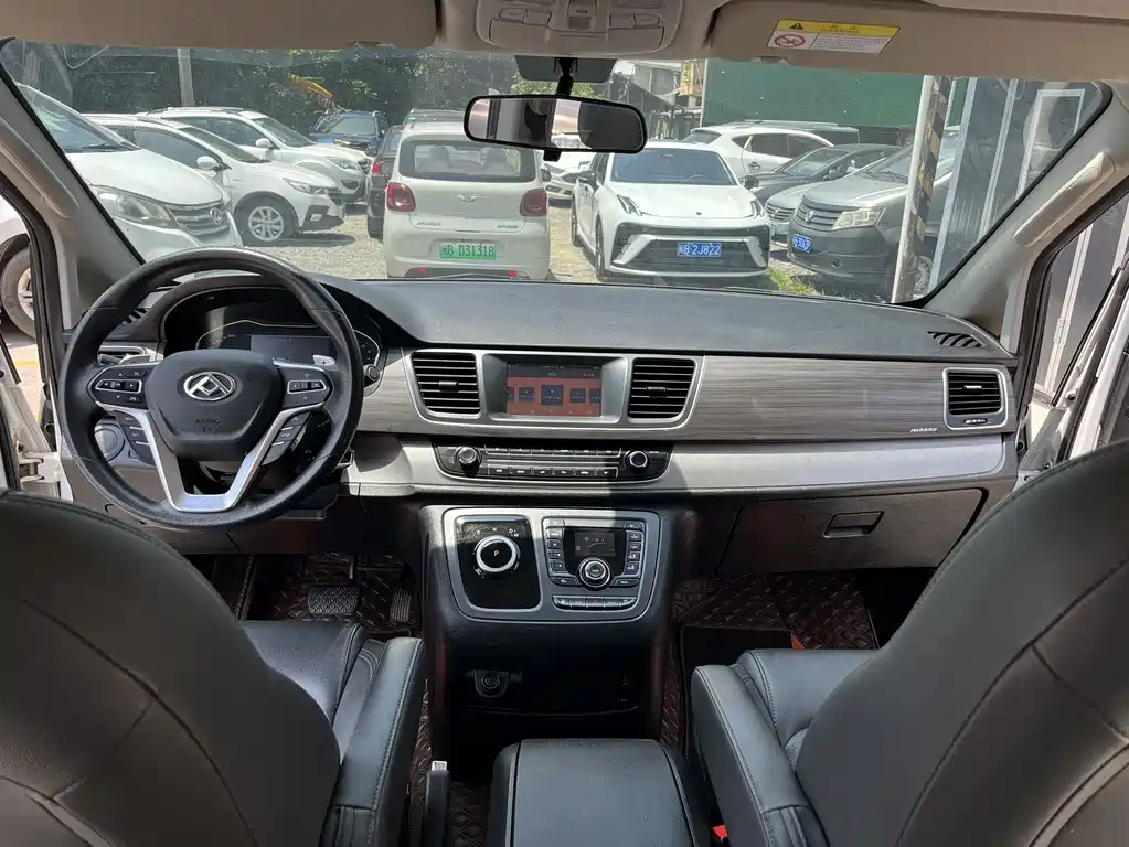 SAIC MAXUS CHASE G10