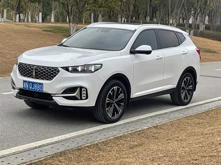 魏牌 VV6 2021款 2.0T 两驱智护+