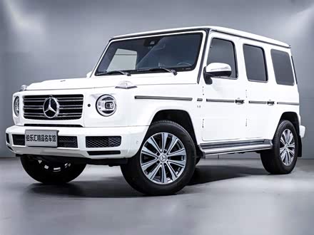 奔驰G级 2019款 G 500