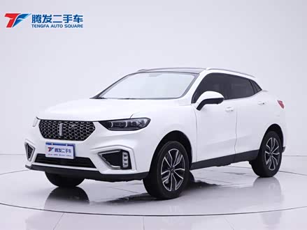 魏牌 VV5 2021款 1.5T 两驱颜先锋