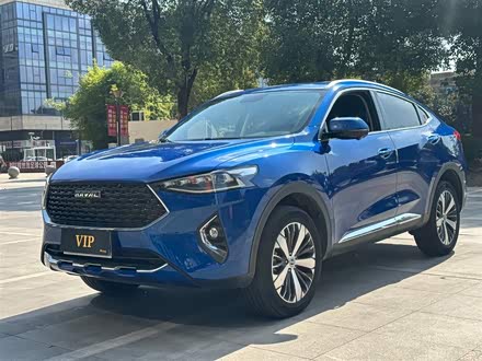哈弗F7x 2019款 1.5T 两驱极智潮玩版